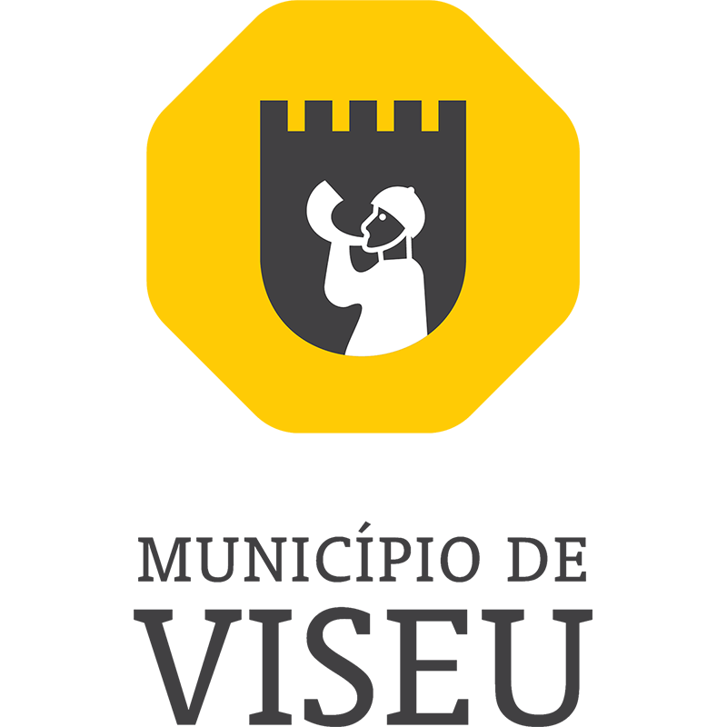Município de Viseu