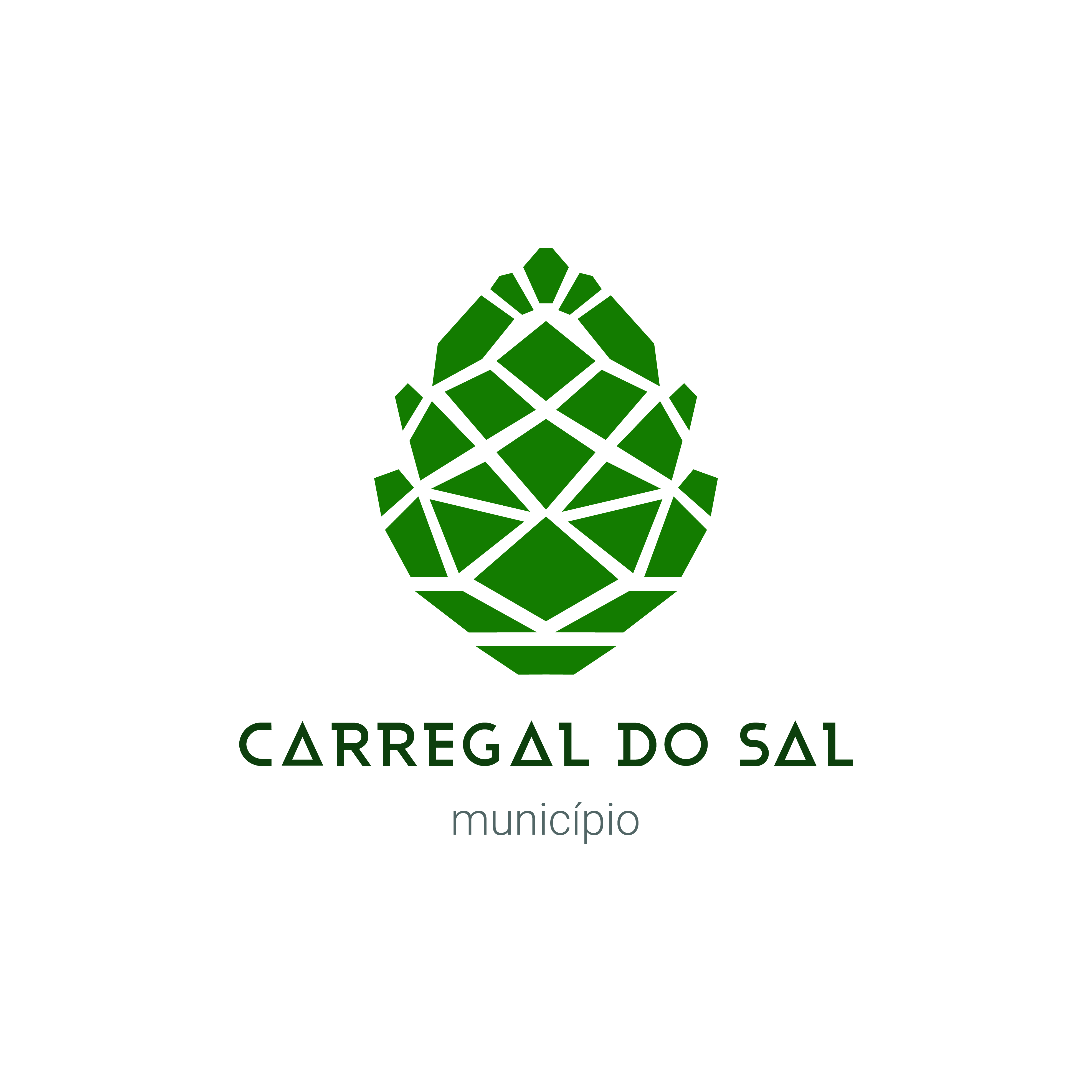 Município de Carregal do Sal